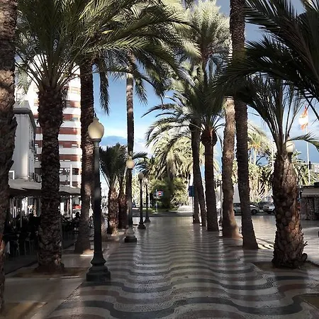 Central Alicante